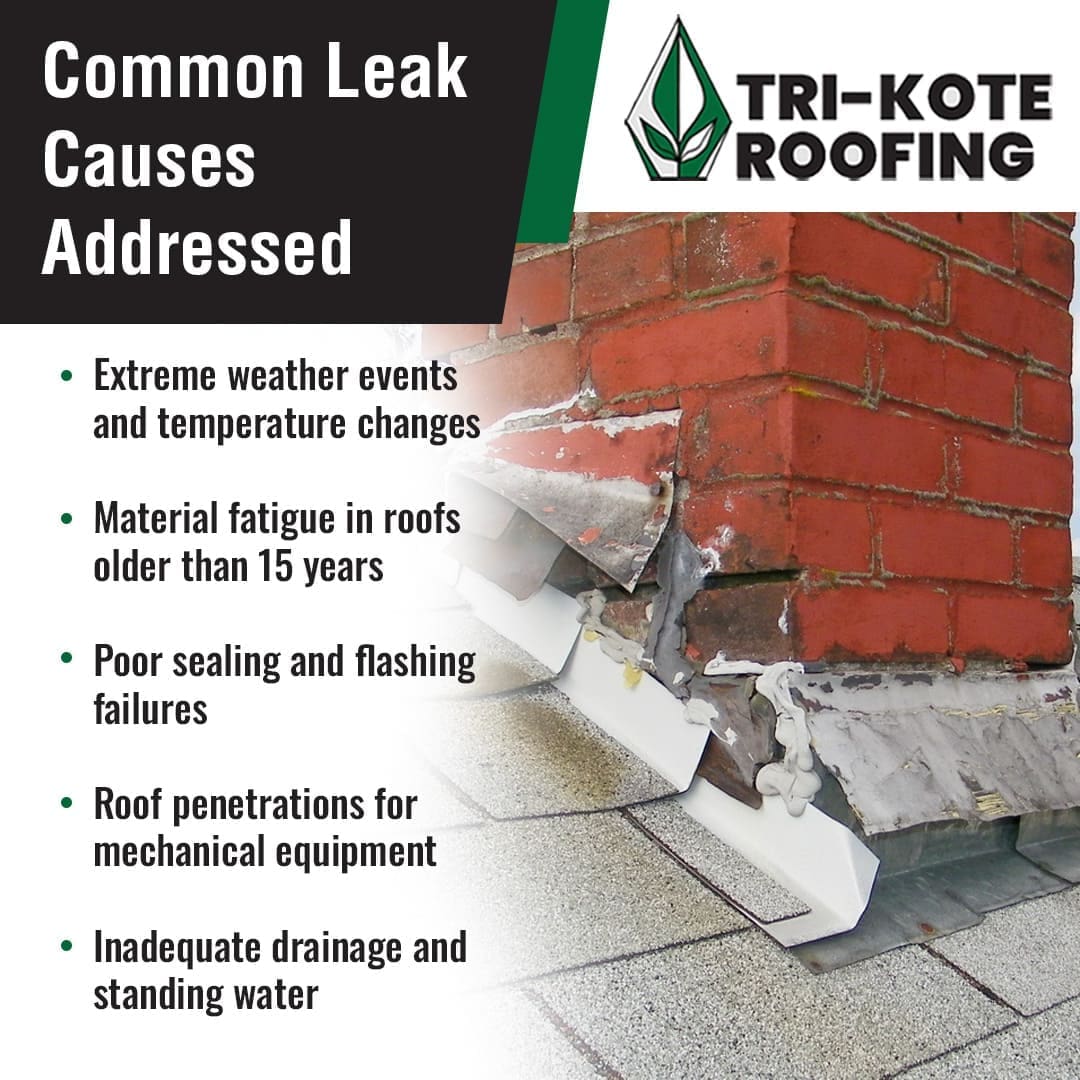 A close-up of a leaky brick chimney with damaged flashing on a shingle roof, accompanied by a list of common leak causes for commercial roofs. The "Tri-Kote Roofing" logo is prominently displayed in the upper right.